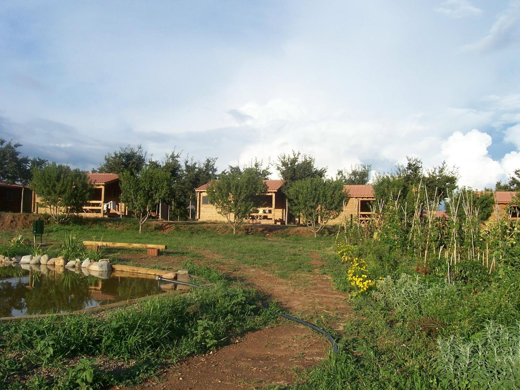 Hotel Ecologic Vinyols Camp Vinyols i Els Arcs Exteriér fotografie